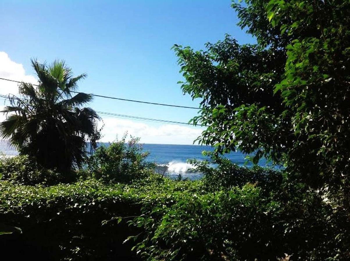 Charming 2Br Guest Suite With Ocean View Praia Exterior photo